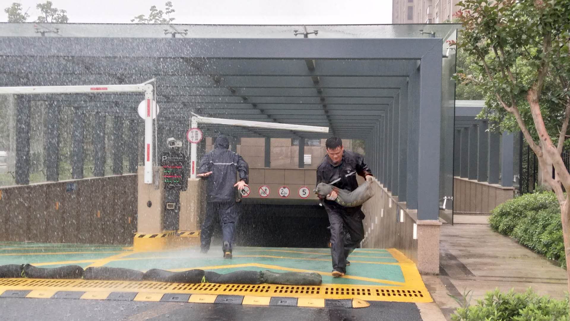 1591768183156421.jpg 1469160d0288e0461871ef4025c59c8.jpg