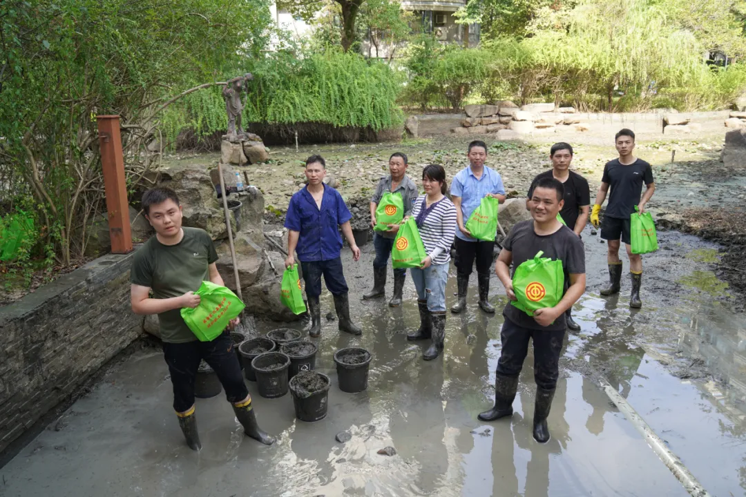 1598073144207355.png 4.png