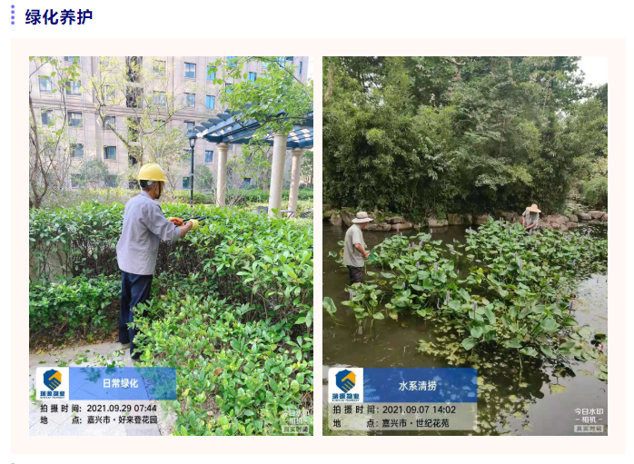 1634047256111509.png image.png