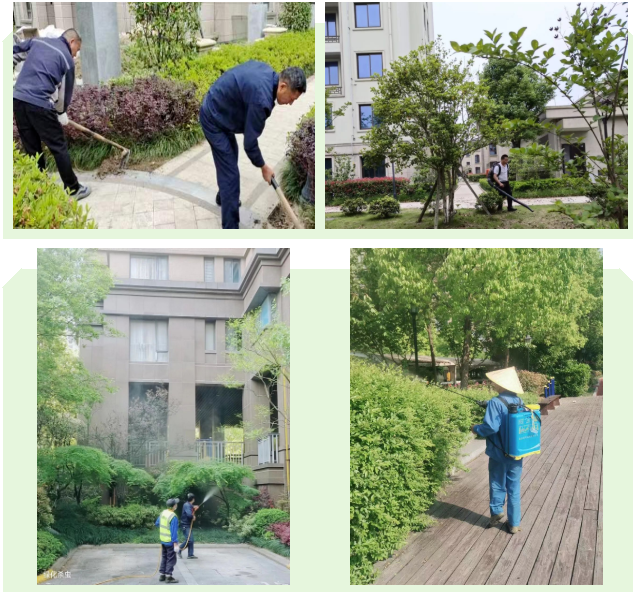 1656069523788830.png 52ffb668d0920832800b14df927380e.png